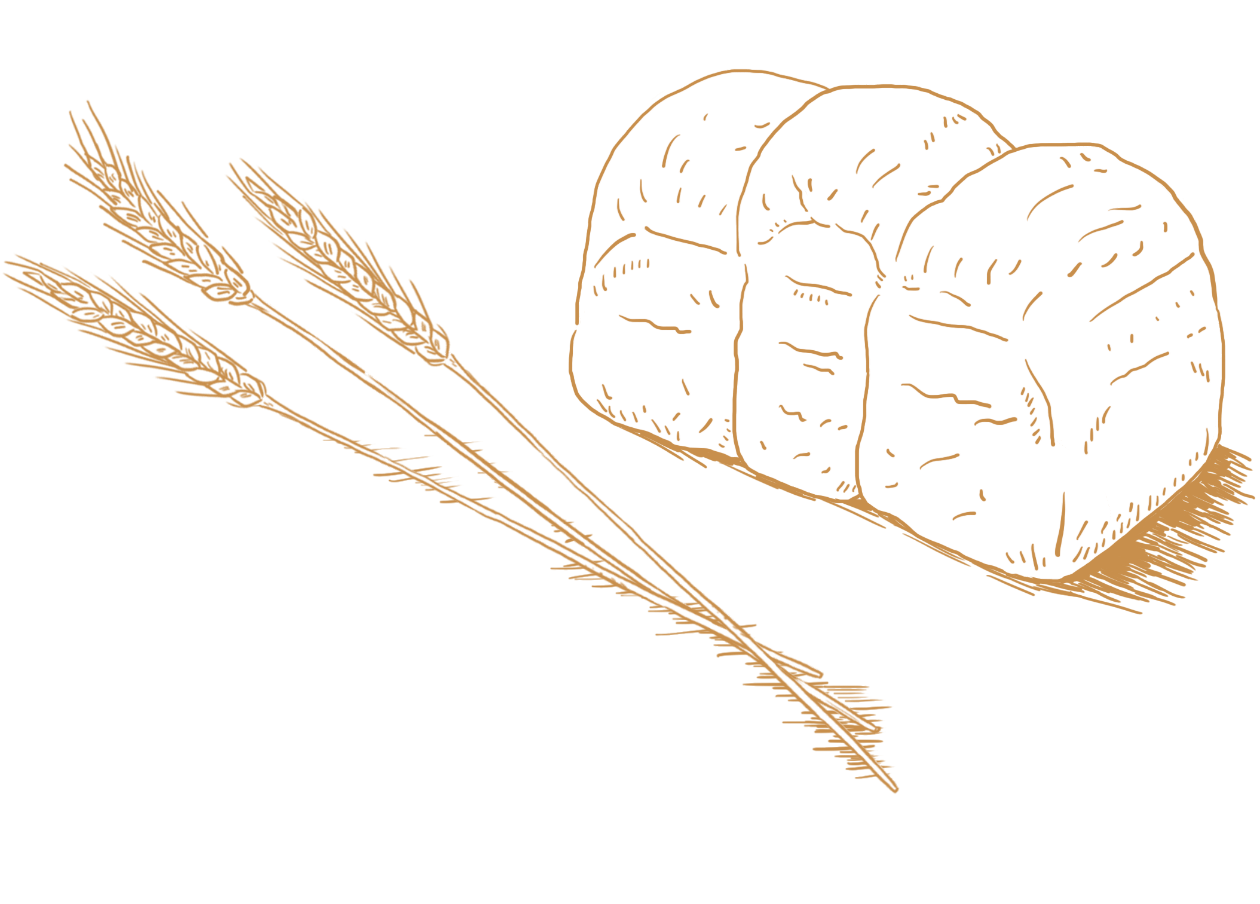 イラスト：小麦とパン