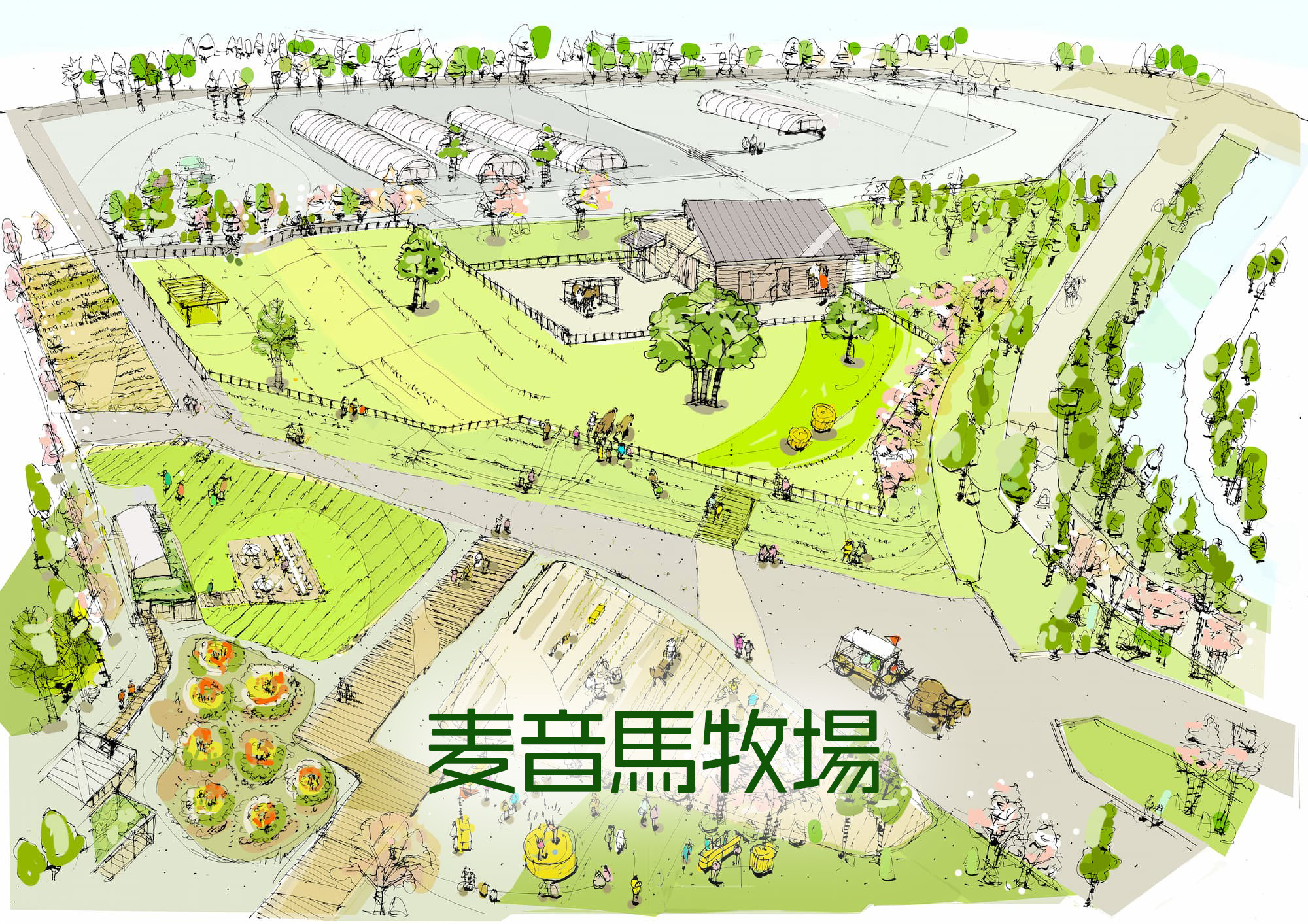 ま麦音馬牧場完成図
